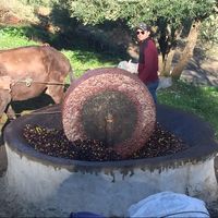 Zakaria Karmouch's Photo