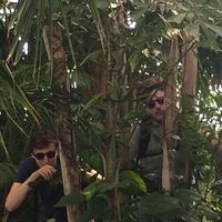 Nikos Braoudakis's Photo