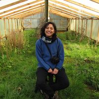 Sofía Sepúlveda's Photo