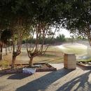 Walk & Talk + Feeding Cats's picture