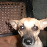 Taddy Arencibia's Photo