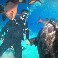 Yiyuan Zhang的照片