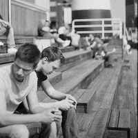 Sasha Distel的照片