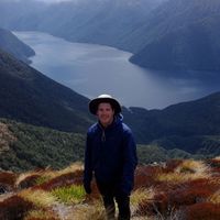 Peter Davidson的照片