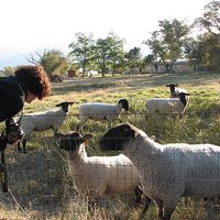 Maneli B.'s Photo