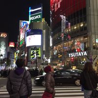 Фотографии пользователя RAHMAN HAJAR