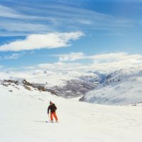 Petter Olsen's Photo