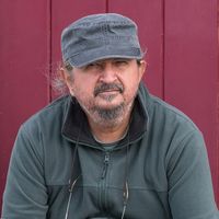 Albatroz Errante's Photo