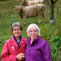 Carol Weidel的照片