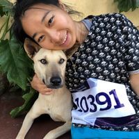 Фотографии пользователя Bobbi Huang