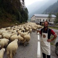 Niccolò Brambilla's Photo