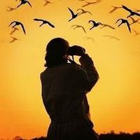 Giri Budiman的照片