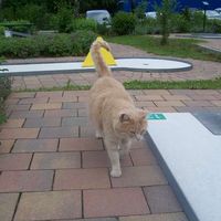 Claudia Rostek's Photo