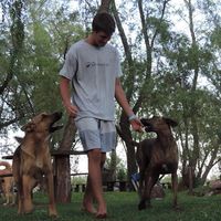 Mateo Luchetta's Photo