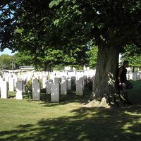 Killian Hughes的照片