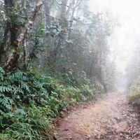 Susana Dávila Vásquez's Photo