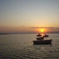 Matilde Sciarrino's Photo