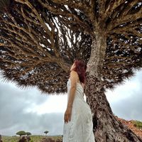 Fotos de Mingziyu Liu