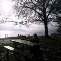 Motahareh Mansourian's Photo