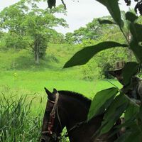 Pablo Dominguez Castaño的照片