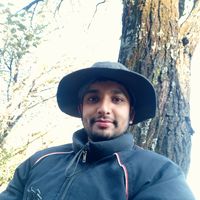 Nidhi Pukhari's Photo