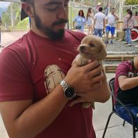 Фотографии пользователя Luis Hernando Sierra Alarcon