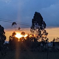 charles jacob的照片