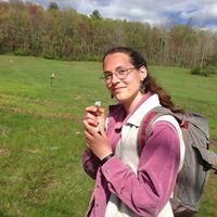 Fotos von Sarah Zolondick