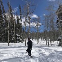 Alberto Perdomo's Photo