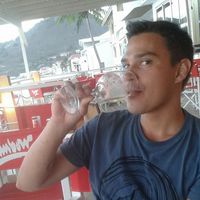 Pieter Holstein的照片