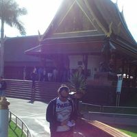 Codrin Leo Nte的照片