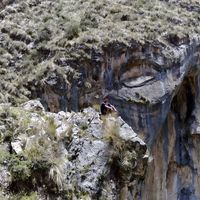 Gian Santos的照片