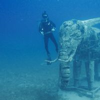 Deokyoung Kim的照片