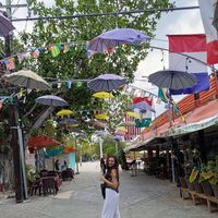 Bianka Berkes的照片