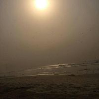 Anthony  Papaa Ebo's Photo