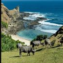 FIND LOMBOKKK 's picture