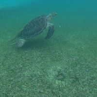 Elena Lira Ramos的照片