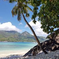 Oana Pamblica的照片