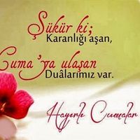 Zdjęcia użytkownika mehmet  kartal