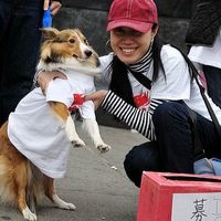 Le foto di Yieyie Wang