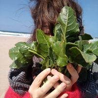 Fotos de Marta Ferreira