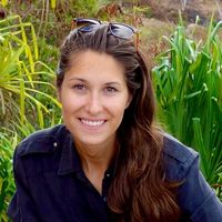 Photos de Diane Seda