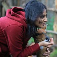 Fotos von Niharika Kishore