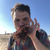 Daniel Korenev的照片