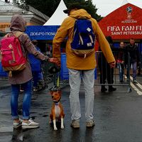 Risto Tscheebis's Photo