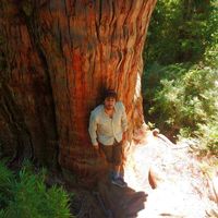 Photos de René Harcha Sabal