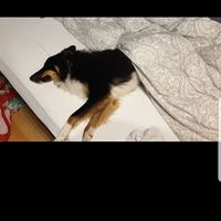 Fotos von Erro Ninahaffi