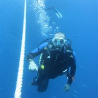 Yahia El Gamal的照片