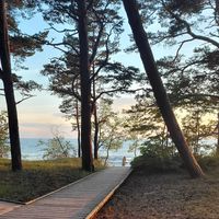 Andy from Latvia's Photo