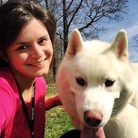 Afthon Moyart's Photo